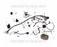 FAISCEAU ELECTRIQUE