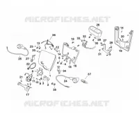 PHARE / COMPTEUR / CLIGONTANTS