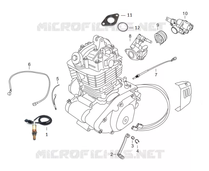 SONDE / CORPS INJECTION / SELECTEUR