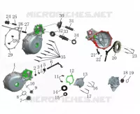 CARTER ALLUMAGE / STATOR