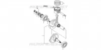 VILEBREQUIN / PISTON