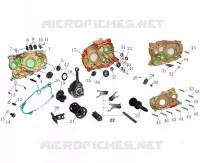 CARTER MOTEUR / VILEBREQUIN