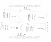 CLIGNOTANTS