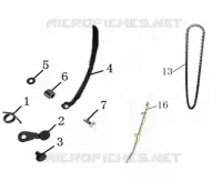 CHAINE / PATIN DISTRIBUTION