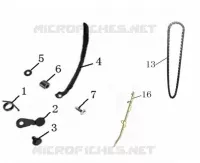 CHAINE / PATIN DISTRIBUTION
