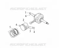 VILEBREQUIN / PISTON