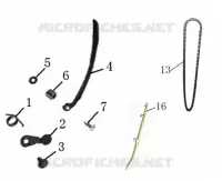 CHAINE / PATIN DISTRIBUTION
