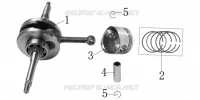VILEBREQUIN / PISTON
