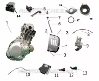 COMPOSANT MOTEUR