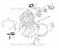 SONDE / CORPS INJECTION / SELECTEUR