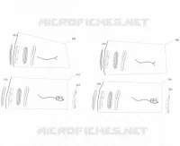 CLIGNOTANTS