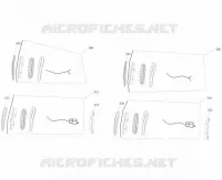 CLIGNOTANTS