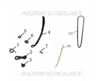 CHAINE / PATIN DISTRIBUTION
