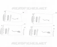 CLIGNOTANTS