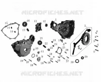 CARTER ALLUMAGE / STATOR