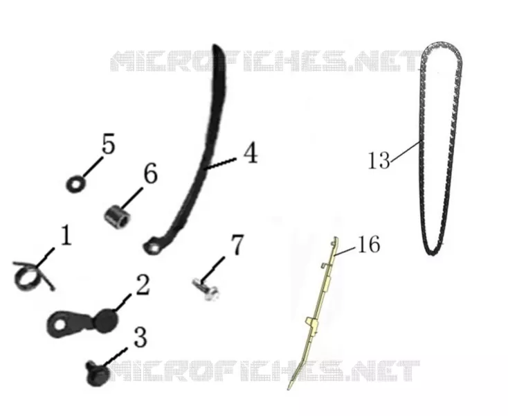 CHAINE / PATIN DISTRIBUTION