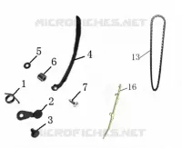 CHAINE / PATIN DISTRIBUTION