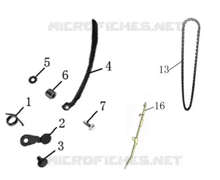 CHAINE / PATIN DISTRIBUTION
