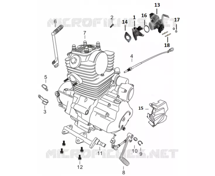 COMPOSANT MOTEUR
