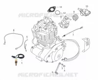 SONDE / CORPS INJECTION / SELECTEUR