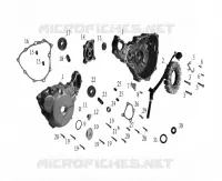 CARTER ALLUMAGE / STATOR