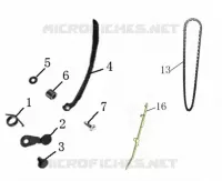 CHAINE / PATIN DISTRIBUTION