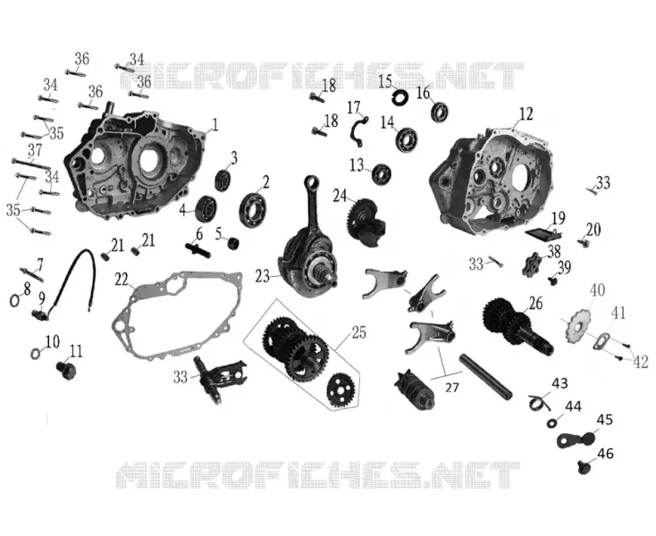 ENSEMBLE CARTER MOTEUR / VILEBREQUIN / PIGNONS