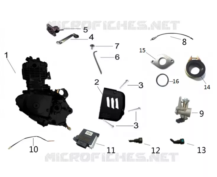 COMPOSANT MOTEUR Mash MOTO 125 2018 BROWN SEVEN 125  BROWN SEVEN 125