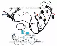 ÉLÉMENTS ÉLECTRIQUES / CABLES pour Mash BELENA 300 2023