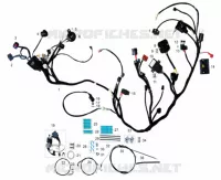 ÉLÉMENTS ÉLECTRIQUES / CABLES pour Mash BELENA 300 2023