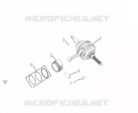VILEBREQUIN / PISTON pour Mash BELENA 300 2023