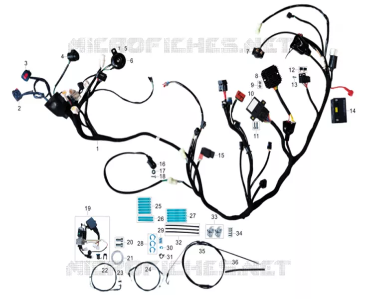 ÉLÉMENTS ÉLECTRIQUES / CABLES Mash SCOOTER 300 2023 BELENA 300  BELENA 300